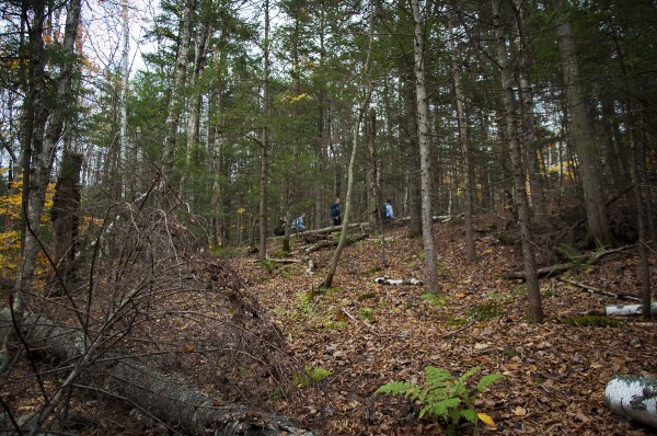 Hiking Mt. Cardigan  in NH