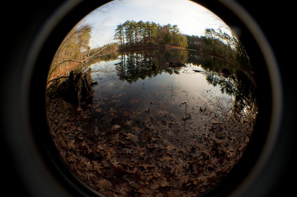 Harold Parker State Forest in MA