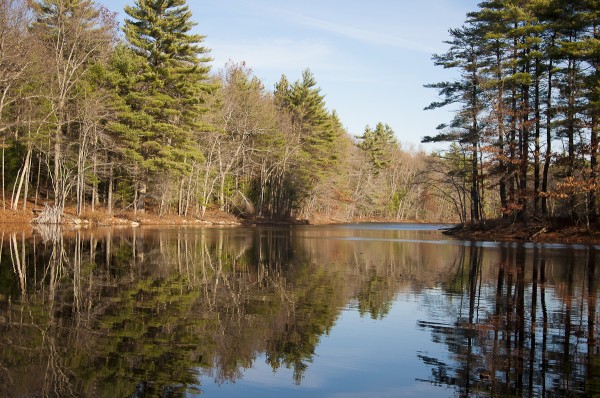 Harold Parker State Forest in MA