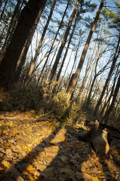 Hiking Weir Hill in North Andover, MA