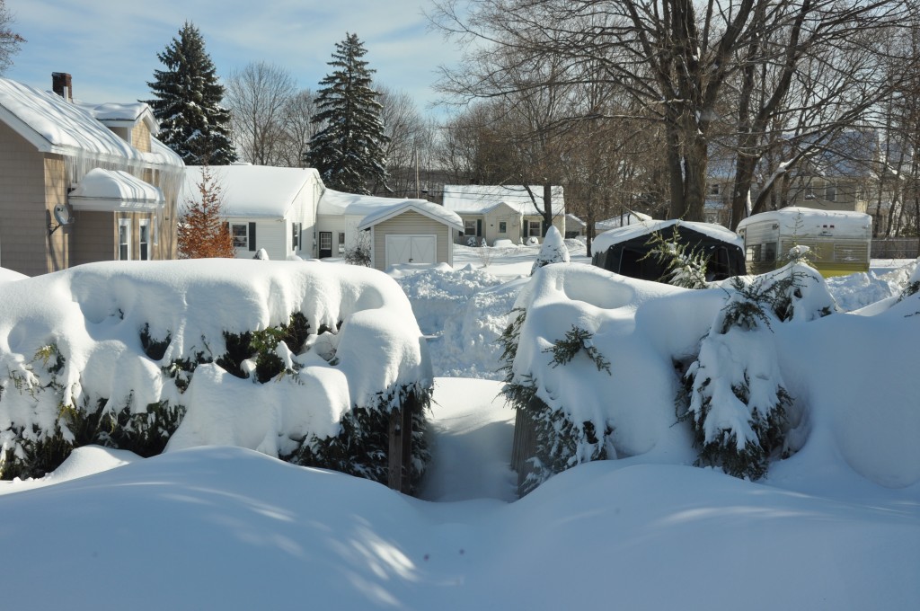 The snow at our house in January, 2011.