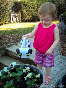 Addie watering pansies with her watering can.