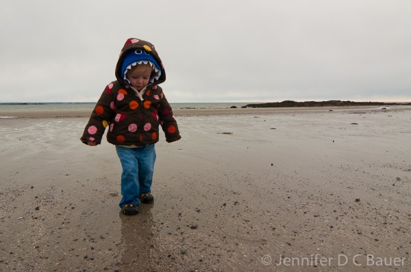 Addie walking along the beach in Wells, Me.