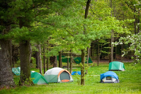 Our tents nestled among the trees at the Noble View Outdoor Center in Russell, MA.