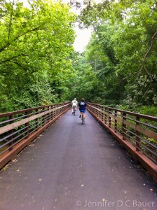 Biking along the Swamp Rabbit Trail in Greenville, S.C.