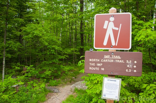 Southern Imp Trail trailhead.