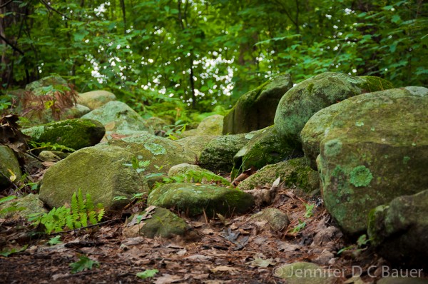 Weir Hill in North Andover, MA.