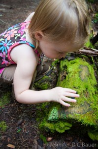 Addie inspecting Moss on the Daniel Webster (Scout) Trail.