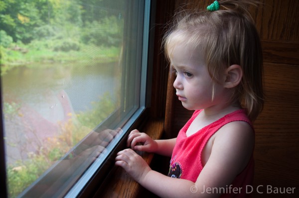 Addie checking out the views on the Conway Scenic Railroad.