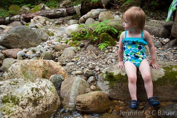 Addie swimming in Culhane Brook at Dolly Copp Campground.