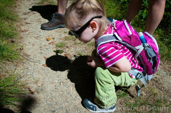 Addie inspecting a fuzzy caterpillar.