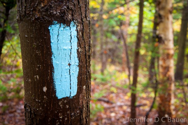 Andrew Brook Trail Blaze