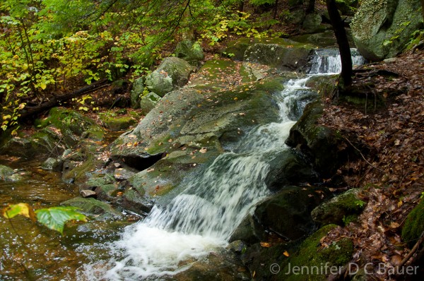 Andrew Brook Trail, Mt. Sunapee, Newbury, NH