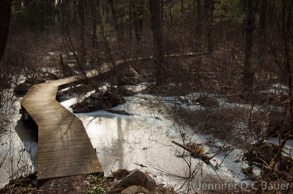 Boardwalk over the Skug River in Andover, MA.