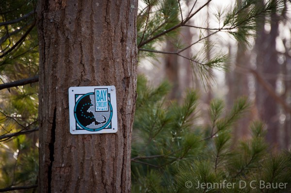 Bay Circuit Trail Marker