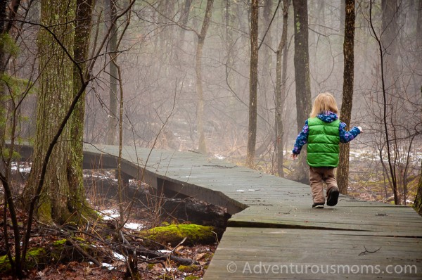 Addie walking along a boardwalk in the Hammond Reservation in Andover, MA.