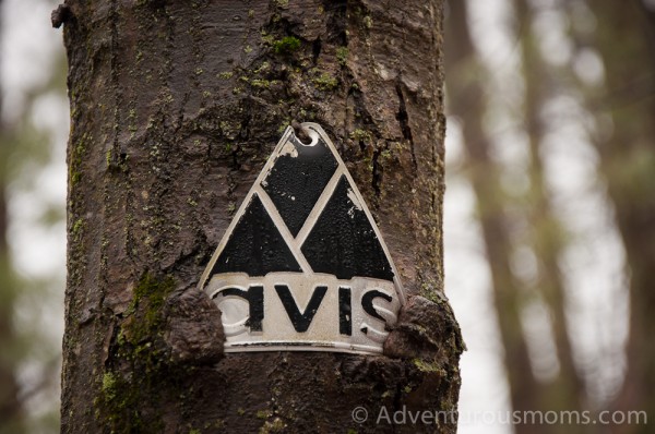 AVIS Trail Marker in the Hammond Reservation in Andover, MA