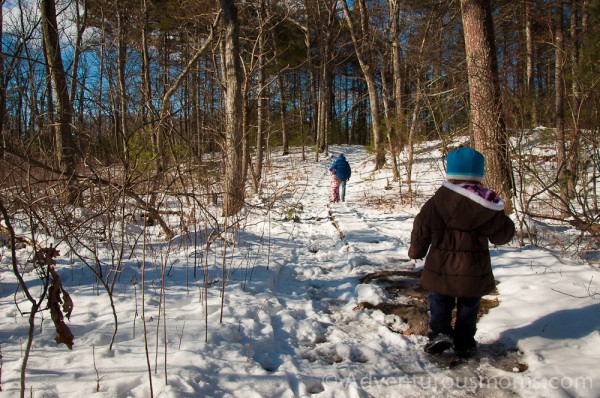 Hiking through Harold Parker State Forest in Andover, MA