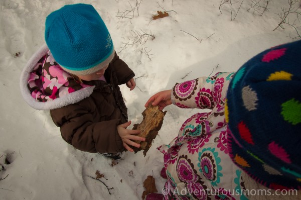 Addie and Elizabeth checking out bark in the Skug River Reservation in Andover, MA