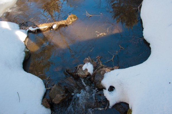 Taft Reservation in Andover, MA