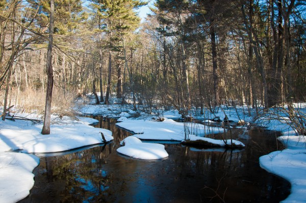 Amy Gordon Taft Reservation, Andover, MA