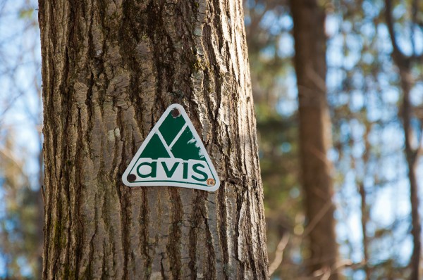 AVIS Trail Marker at the Amy Gordon Taft Reservation, Andover, MA