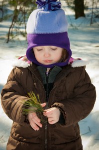 Addison examining pine needles at the Taft Reservation in Andover, MA