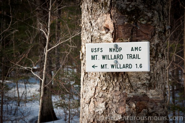 Mt. Willard Trail, Bretton Woods, NH