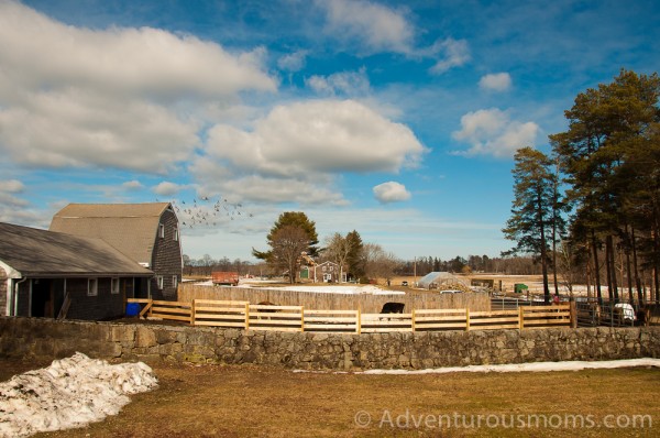 Appleton Farms in Ipswich, MA