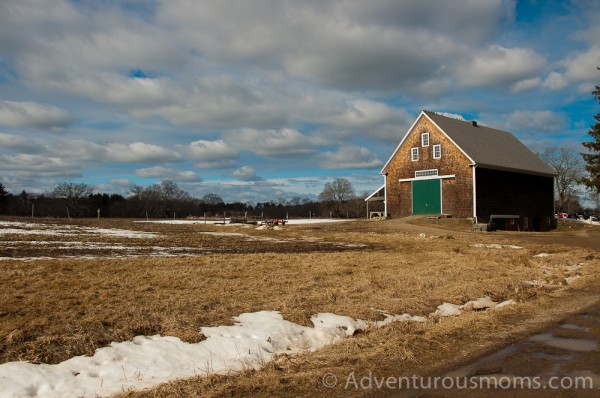 Appleton Farms in Ipswich, MA