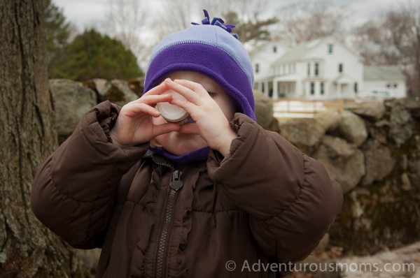 Addie chugging some sap after collecting it from a maple tree at Appleton Farms in Ipswich, MA