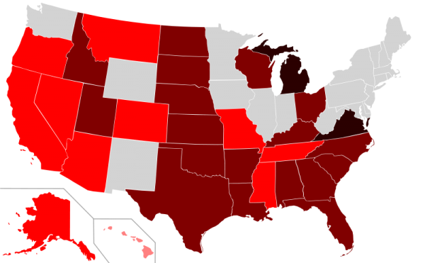 Current marriage amendments to US state constitutions, by type