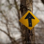 Yellow Diamond Trail at Harold Parker State Forest in Andover, MA