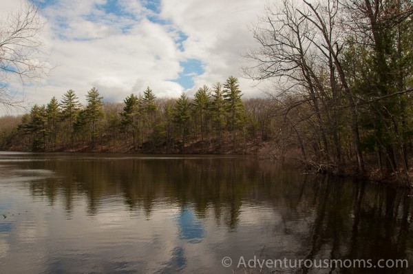 Harold Parker State Forest in Andover, MA