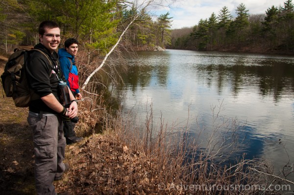 Harold Parker State Forest in Andover, MA