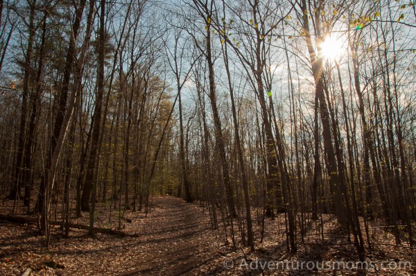 Osgood Hill Trail in North Andover, MA