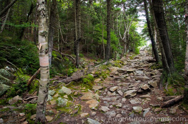 Mt. Kearsage, Warner, NH