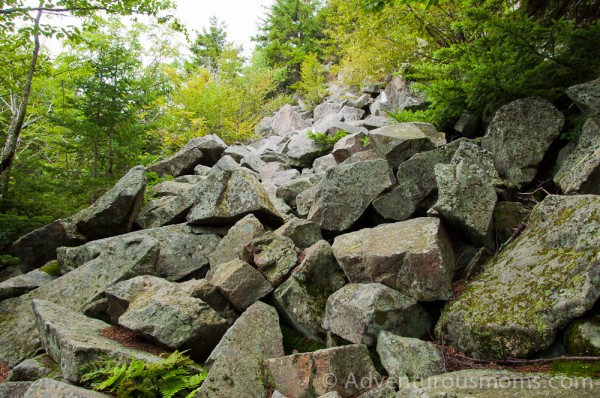 Mt. Kearsage, Warner, NH