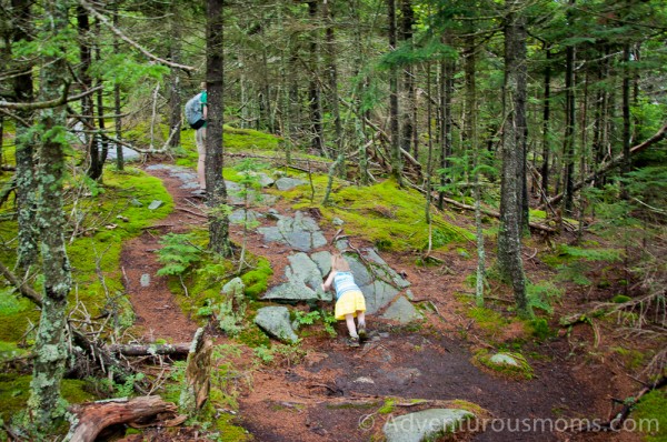 Mt. Kearsage, Warner, NH