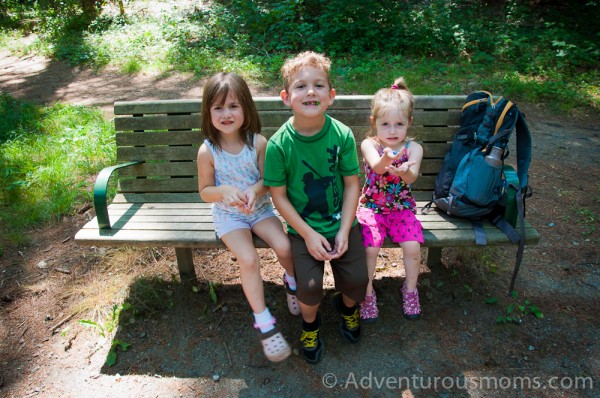 Bradley Palmer State Park, Ipswich, MA