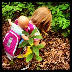 Addie looking for mushrooms at Peggy Keck Reservation, Andover, MA