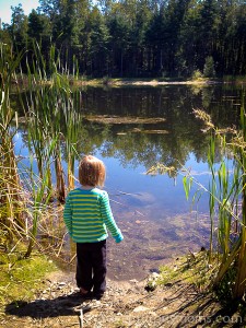 Addie checking out the fish in the pond at the end of the Nashua River Rail Trail