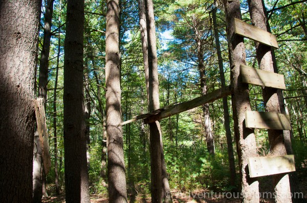 Broken down treehouse in Wilkinson Reservation in Andover, MA