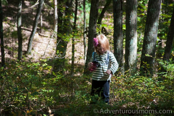 Addie trekking through the overgrown trail at Wilkinson Reservation in Andover, MA