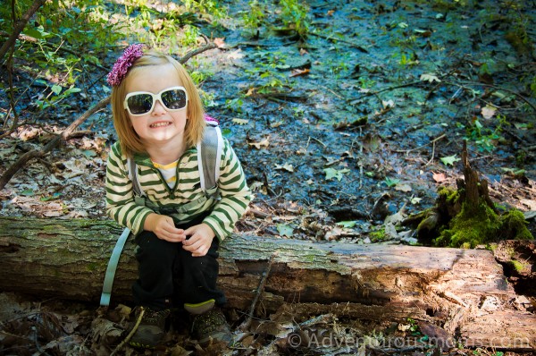 A vernal pool in Wilkinson Reservation, Andover, MA