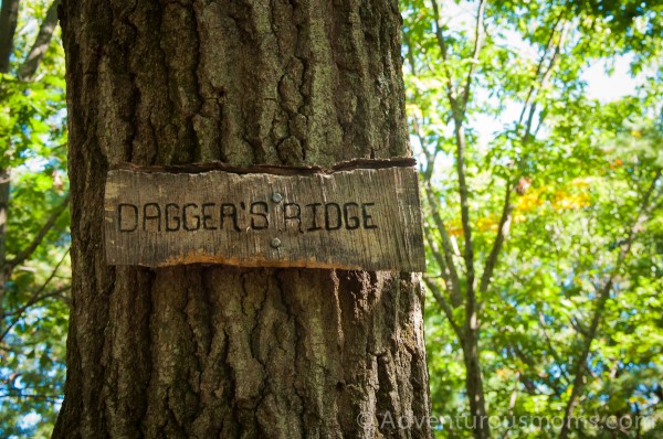 Dagger's Ridge at Wilkinson Reservation in Andover, MA