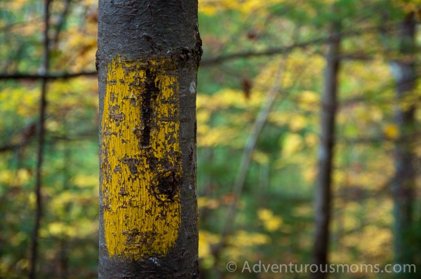 Trail marker for Old Bridle Path on West Rattlesnake Mountain in Holderness, NH