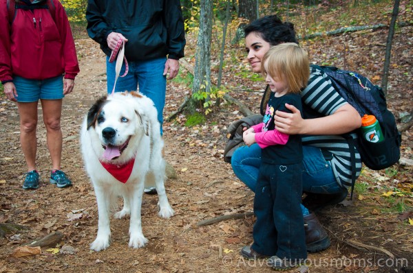 Addie and Rafal hiking West Rattlesnake Mountain in Holderness, NH