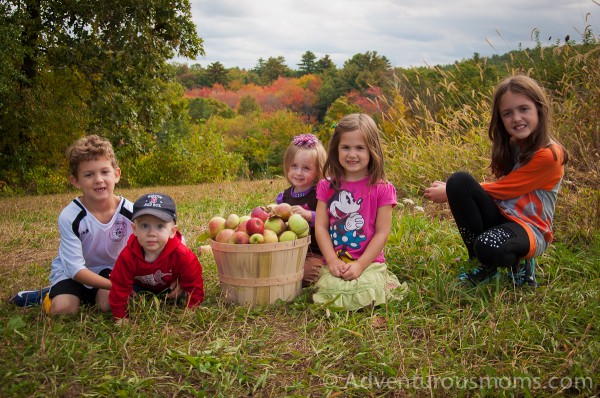 Apple picking at Smolak Farms in North Andover, MA