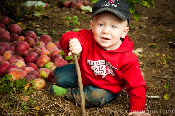 Apple picking at Smolak Farms in North Andover, MA